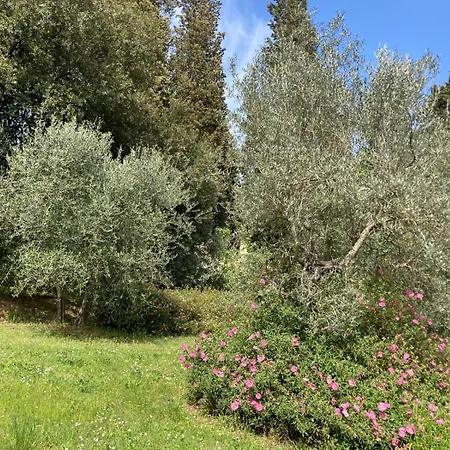 Apartamento Il Paradiso In Valdichiana