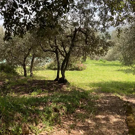Il Paradiso In Valdichiana * Sinalunga